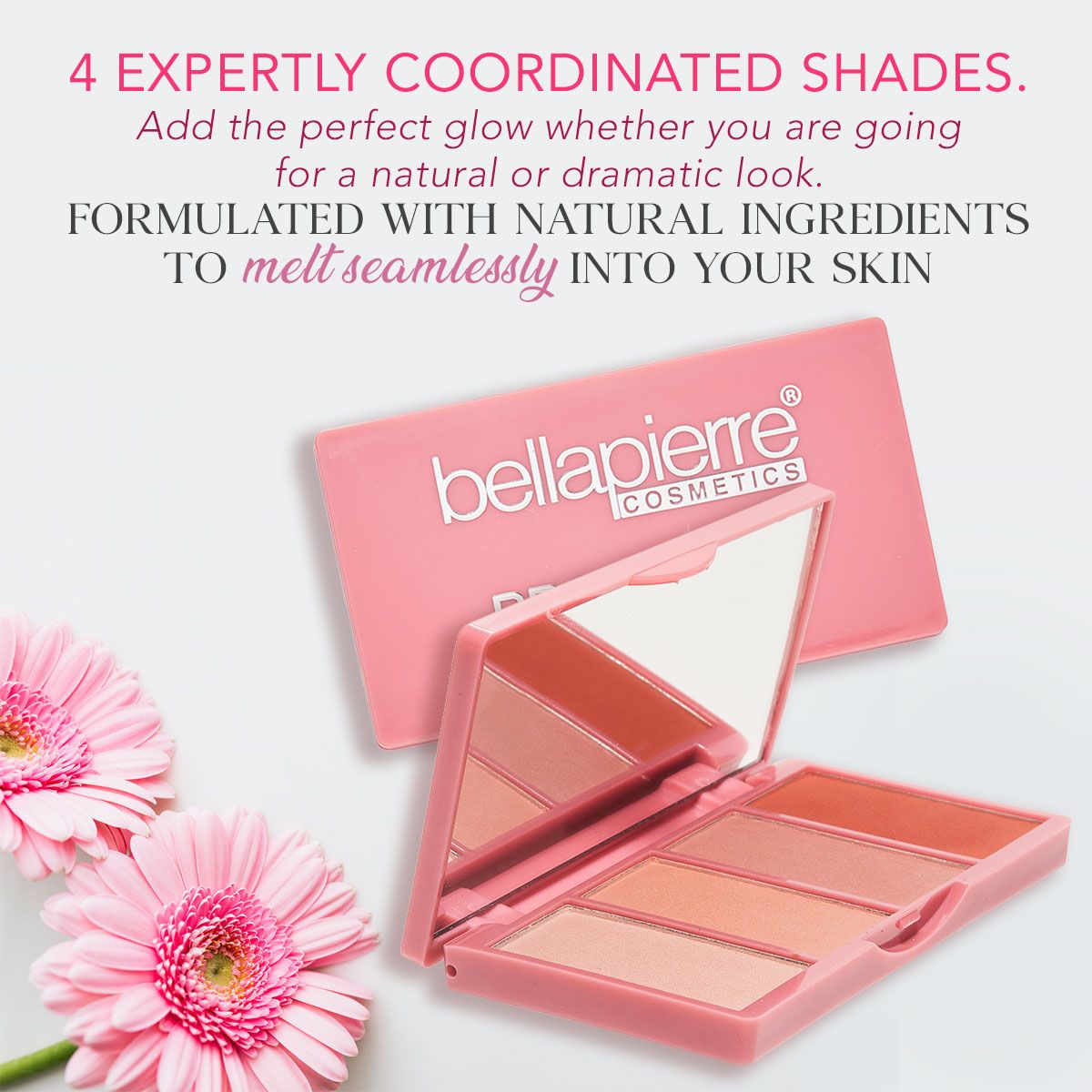 Pro Blush Palette